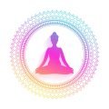 Wellness 3